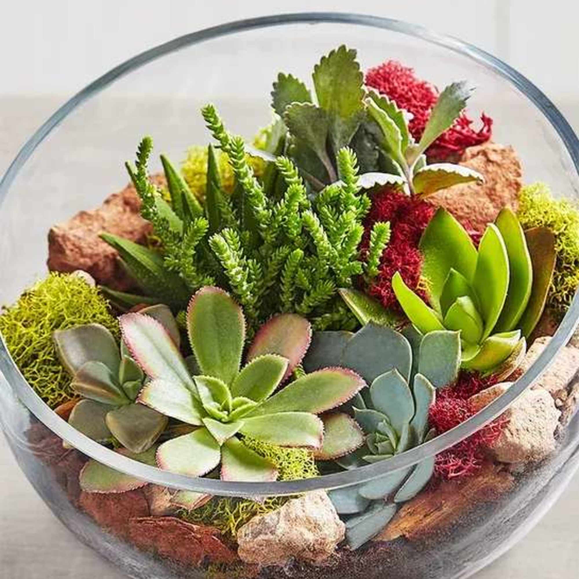 glass bowl succulent centerpiece