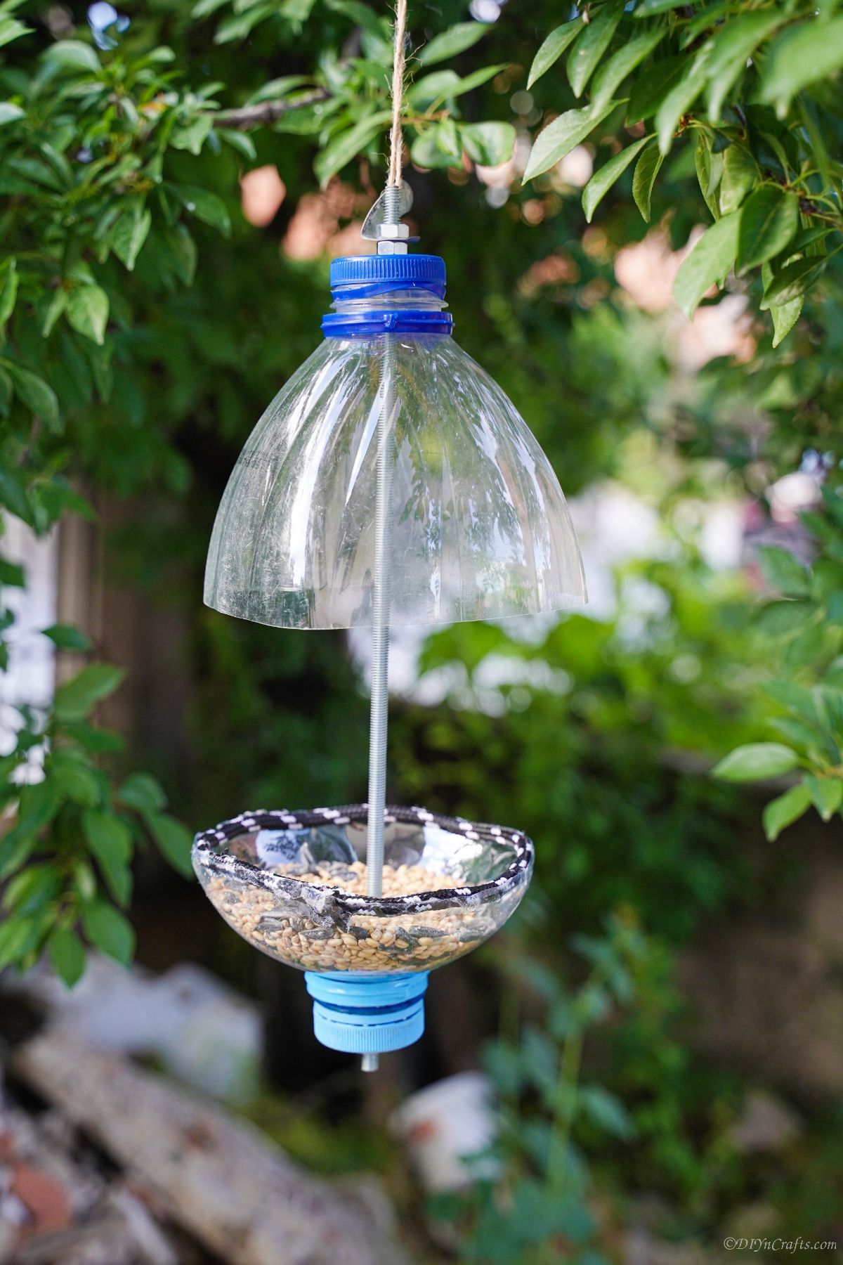 plastic bottle bird feeder in garden