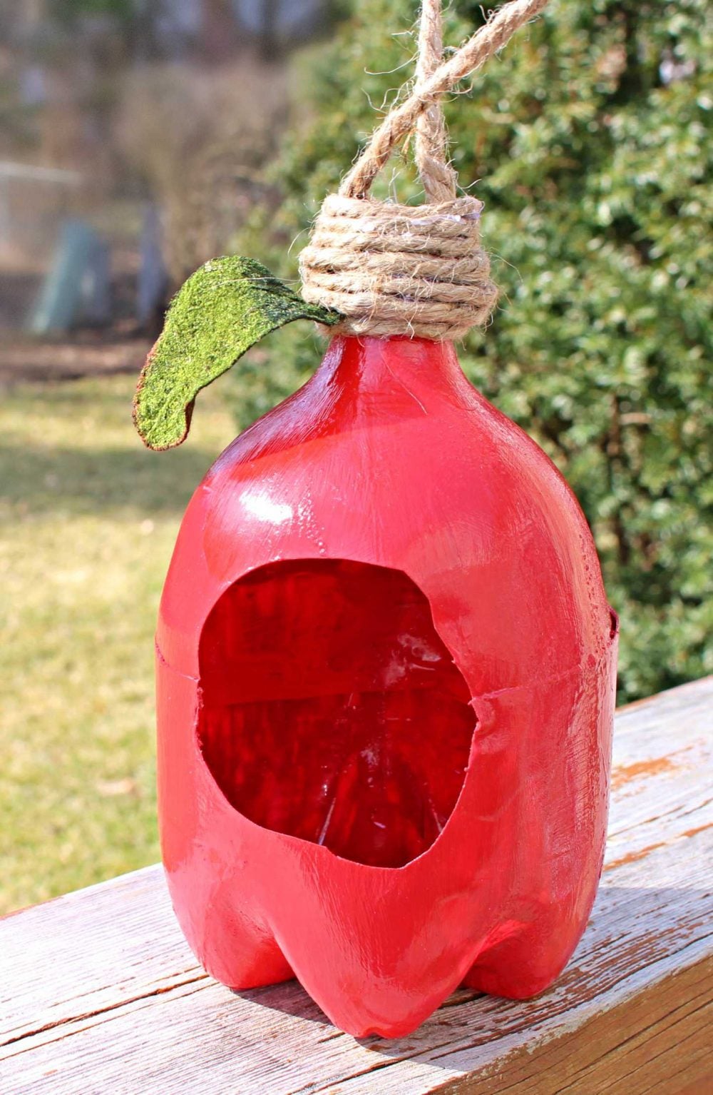 painted plastic bottle bird feeder