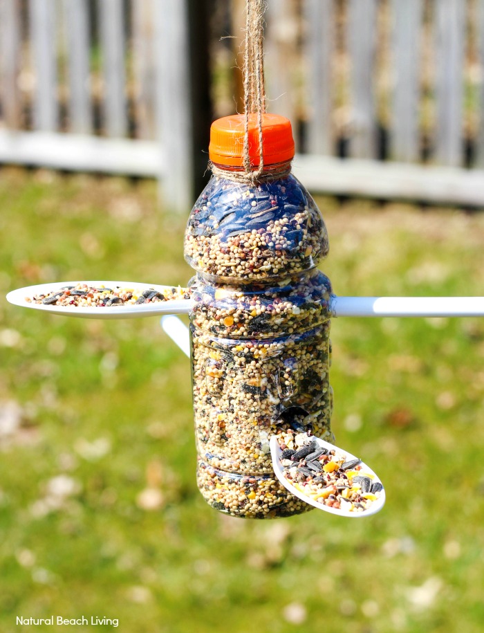plastic bottle bird feeder with multiple holes