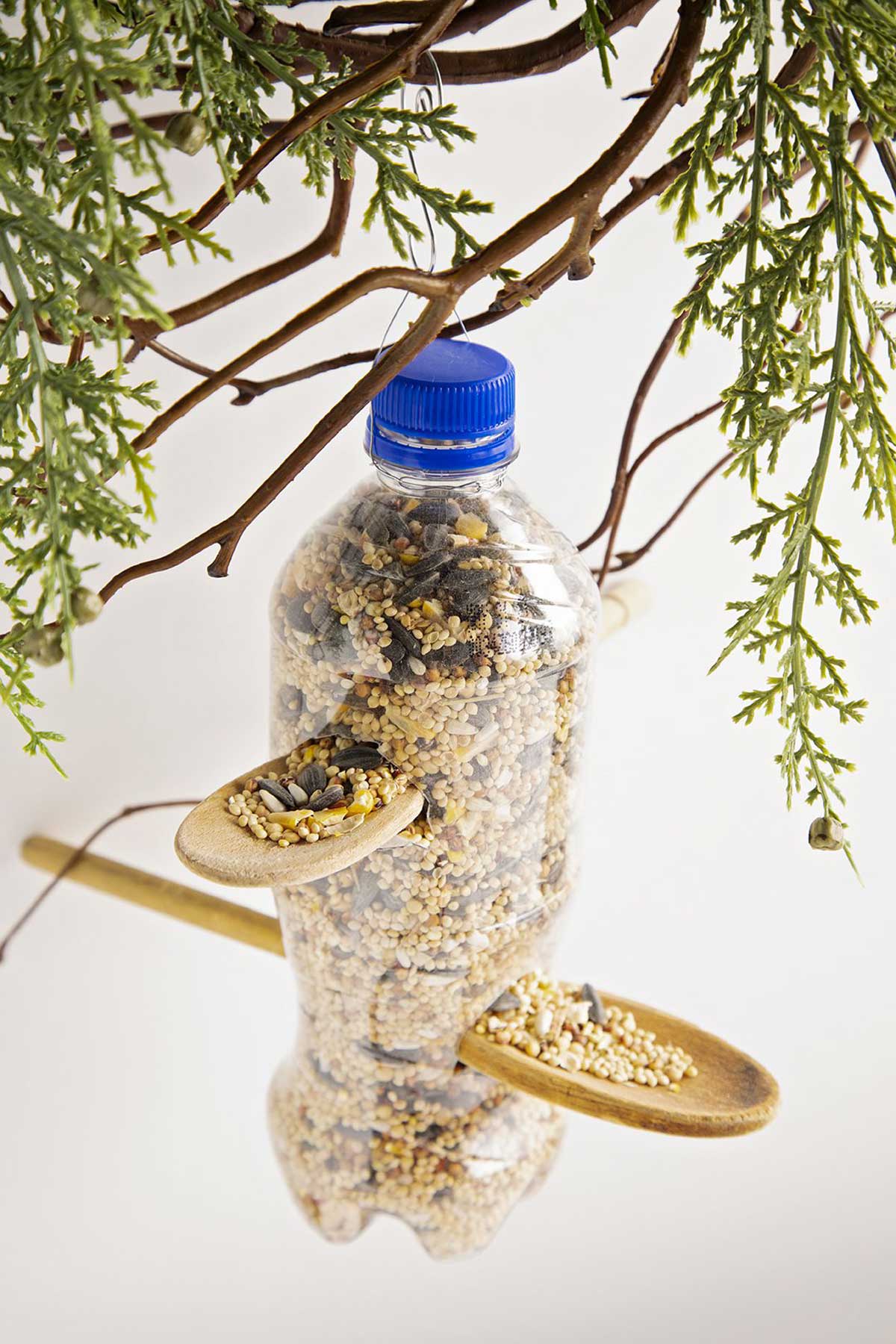 plastic bottle bird feeder with recycled caps