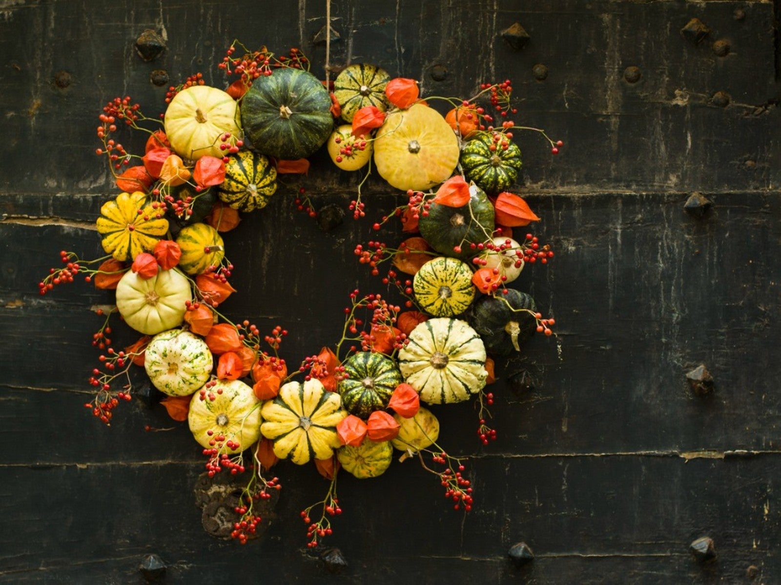 gourd fall wreath
