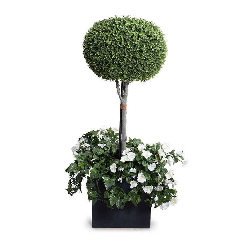 pumpkin topiary trees in pots