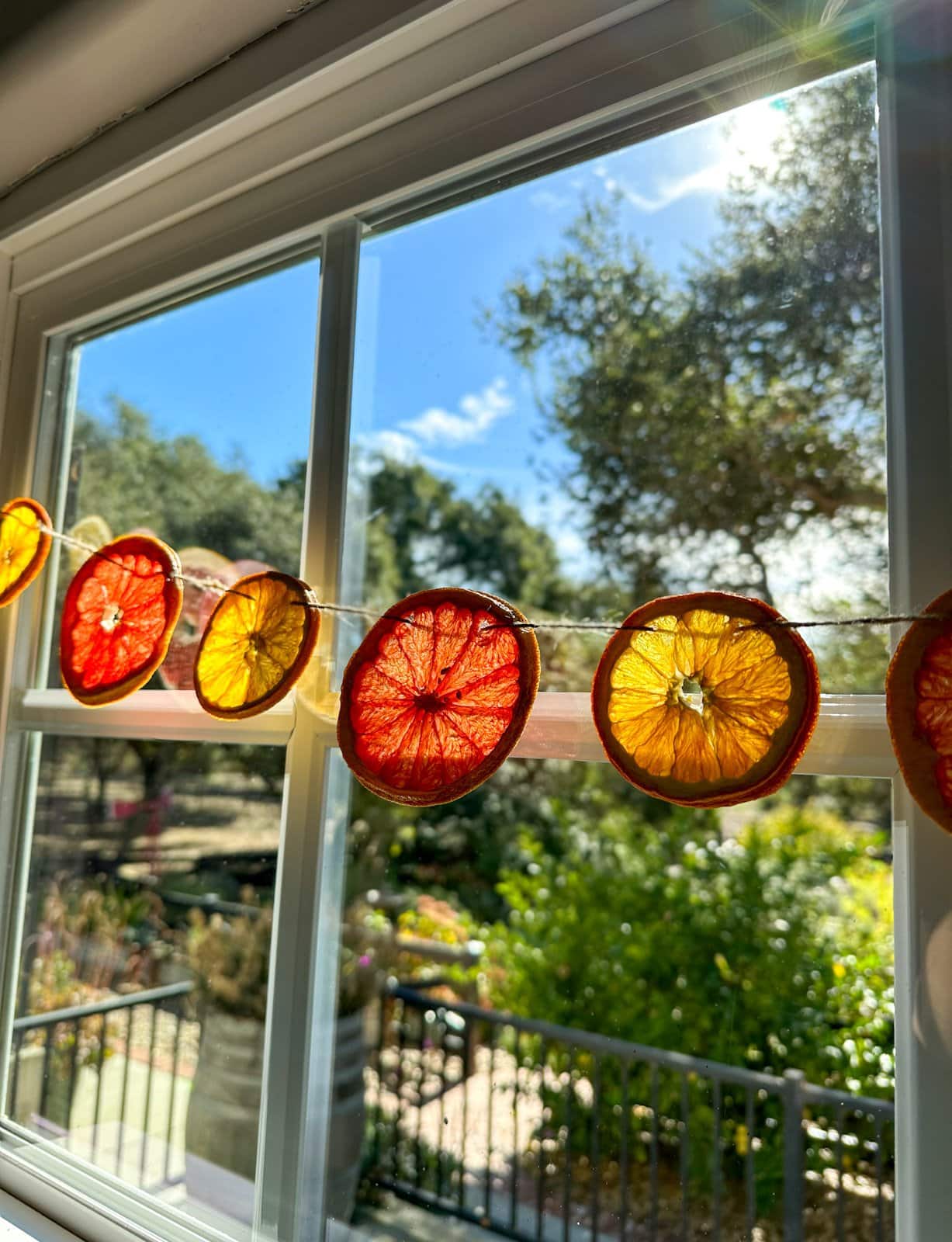 dried orange slice garland across window sill