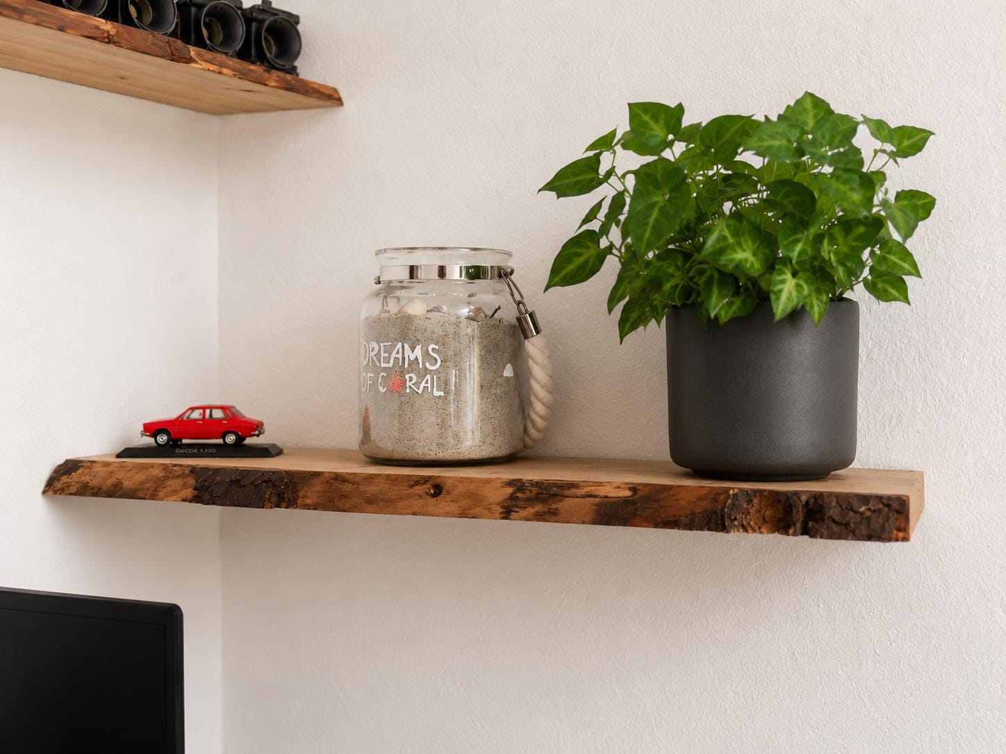 mason jars filled with acorns on wooden shelf