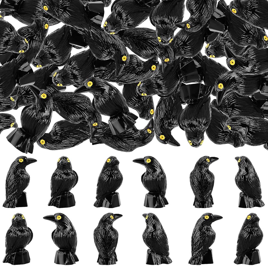 black crow figurines on bookshelf