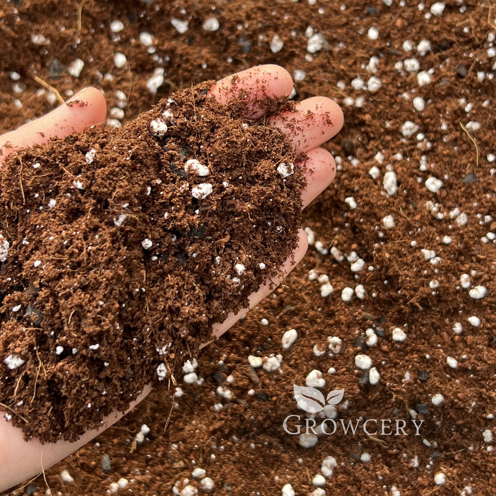 houseplants in soil mixed with eggs