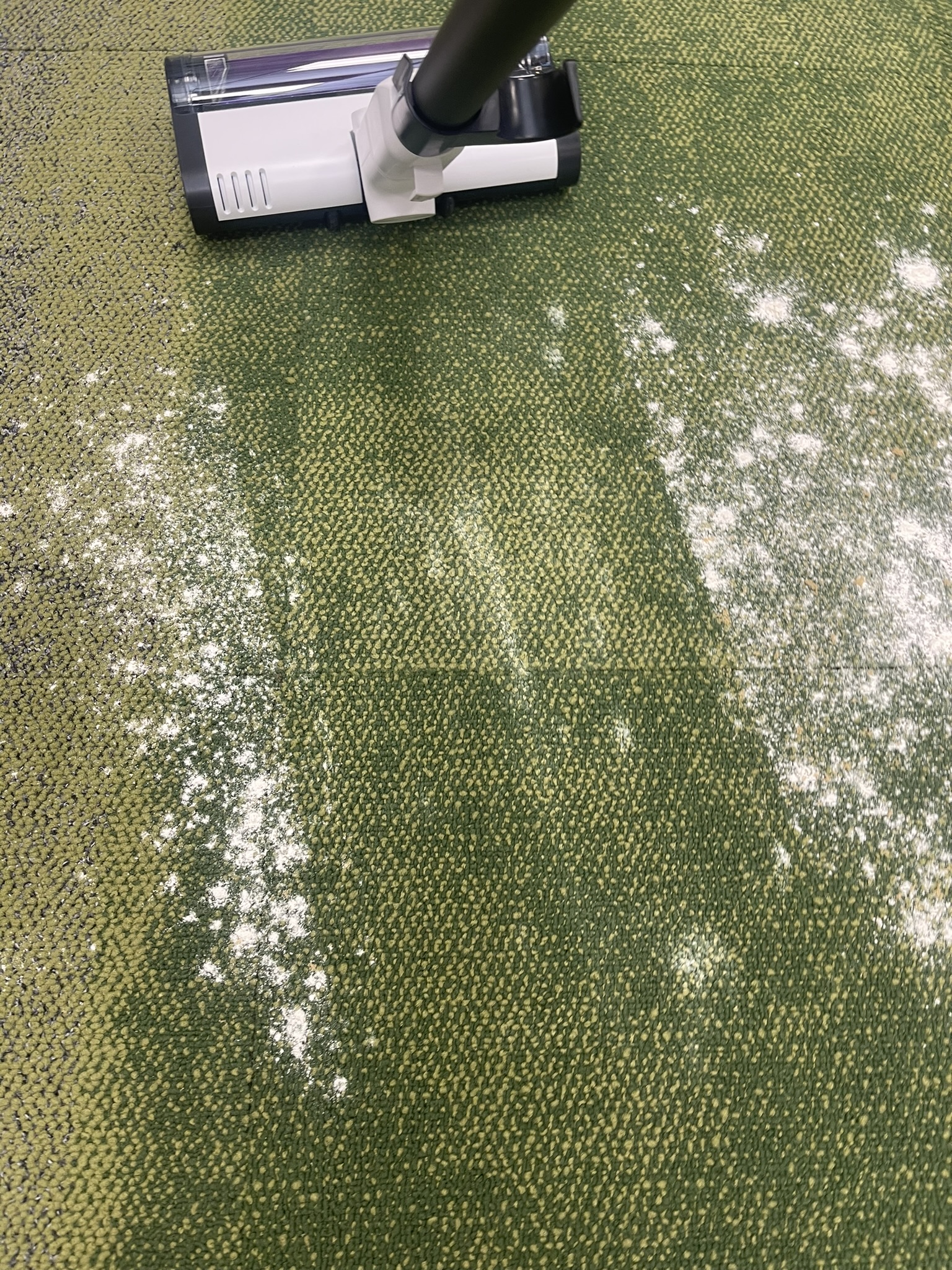 baking soda sprinkled on carpet