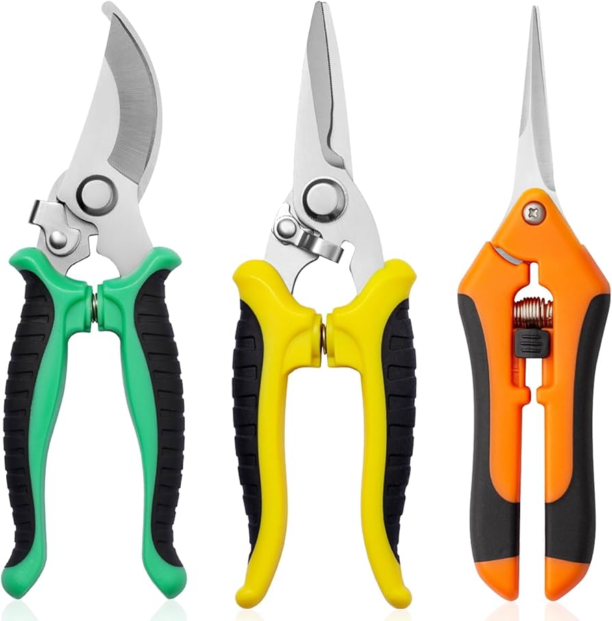 garden shears coated with used cooking oil