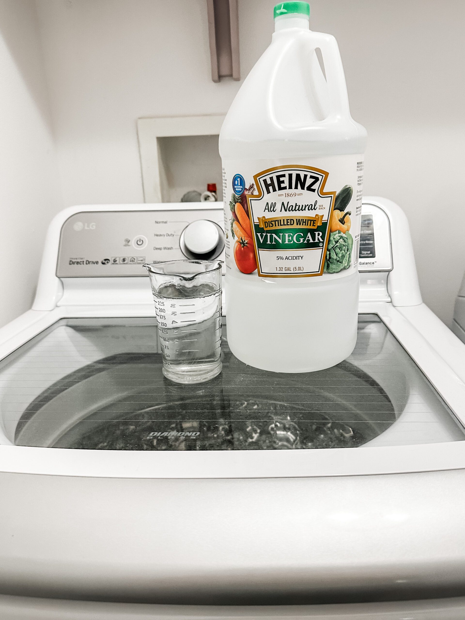 vinegar in washing machine with laundry