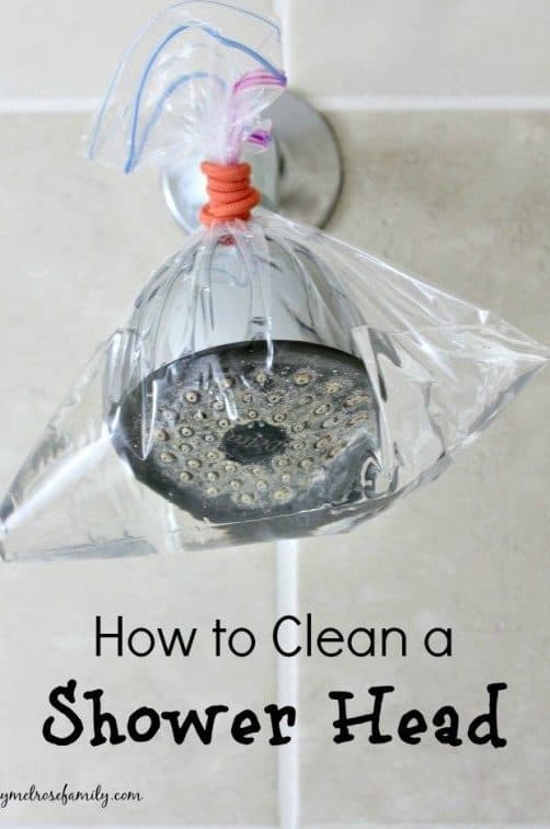 shower head cleaned with vinegar