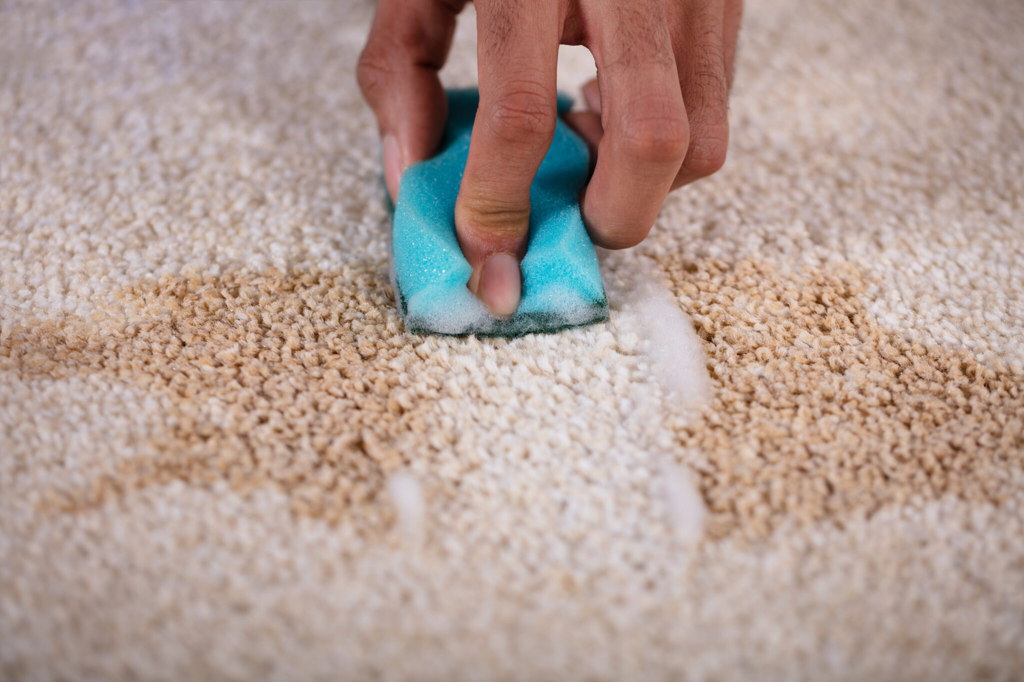 clean carpet after coffee stain removal