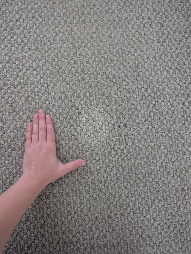 hydrogen peroxide on light carpet stain