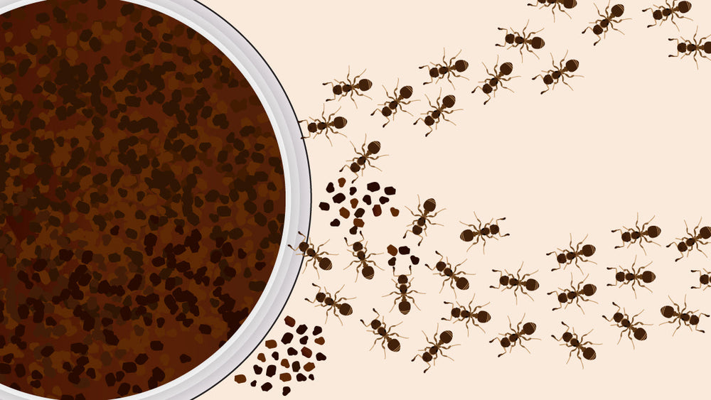 coffee grounds in open container with clothes