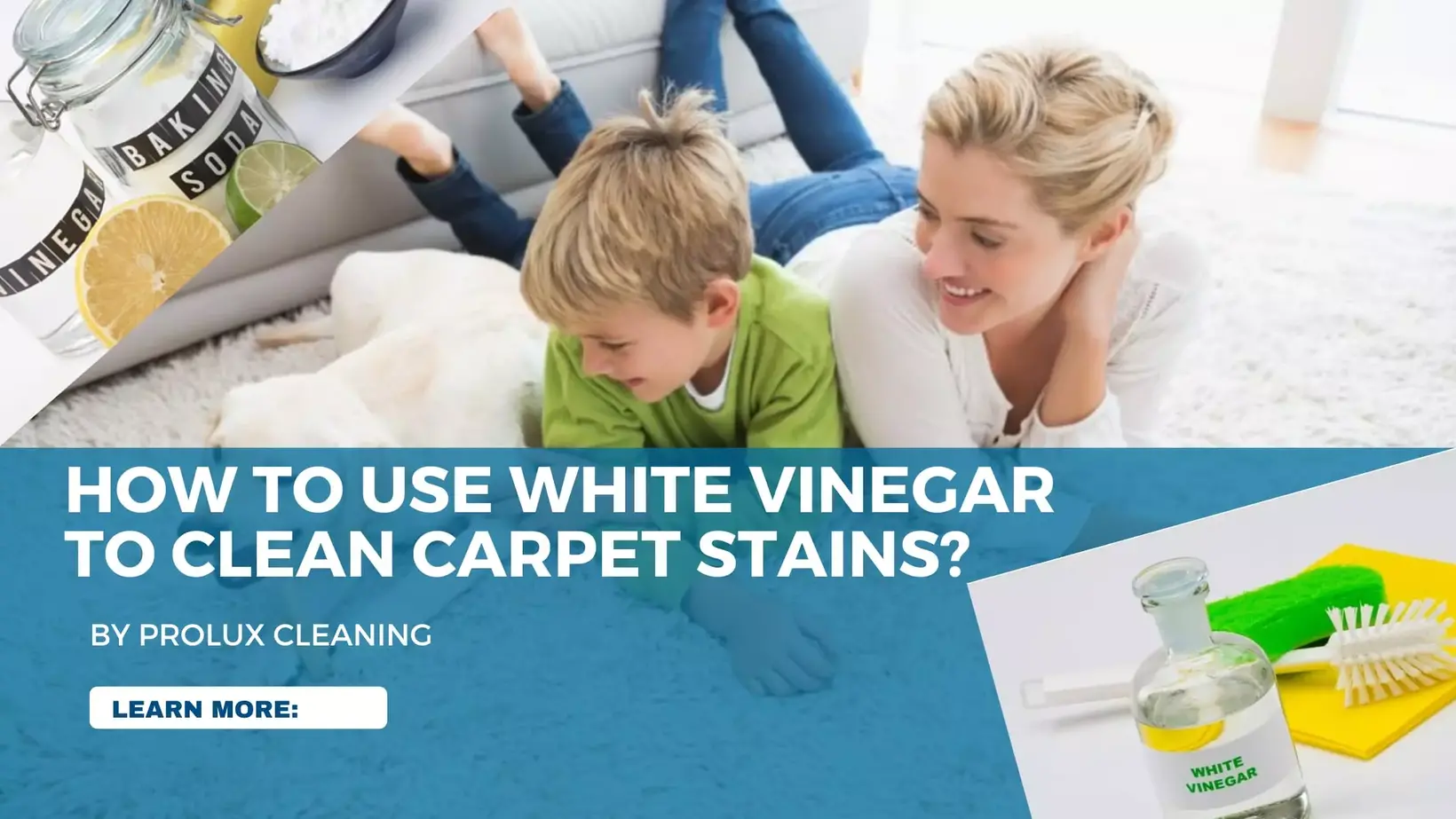 white vinegar carpet rinse