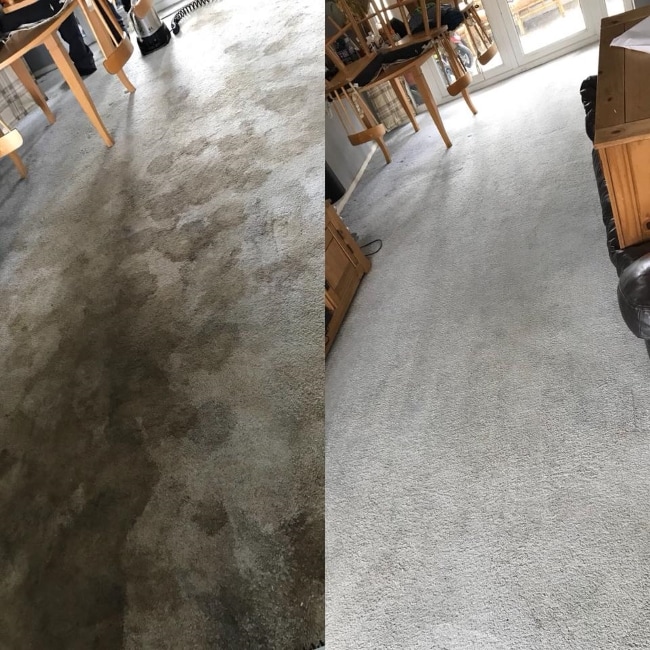 professional carpet cleaning