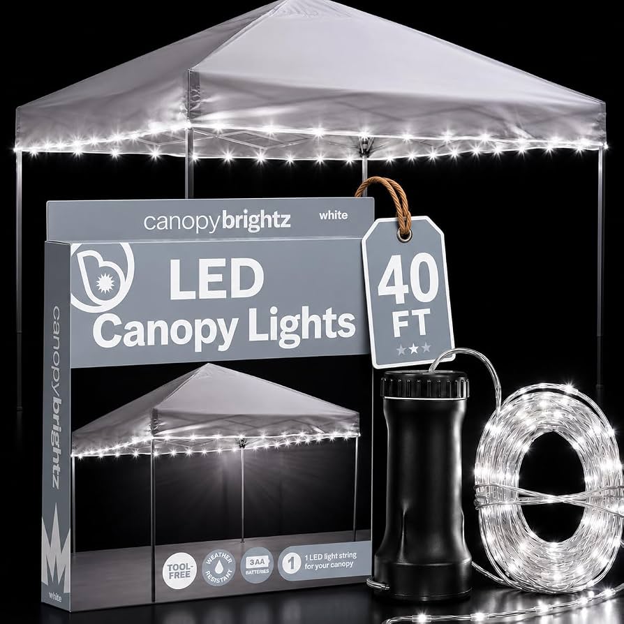 string light canopy new years eve