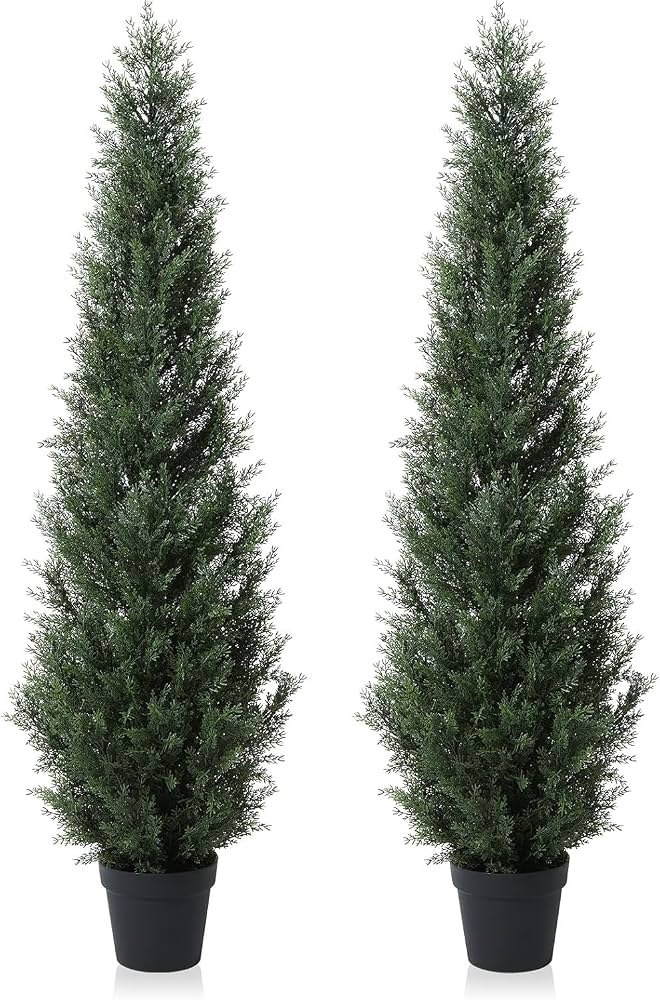 potted evergreen trees on porch