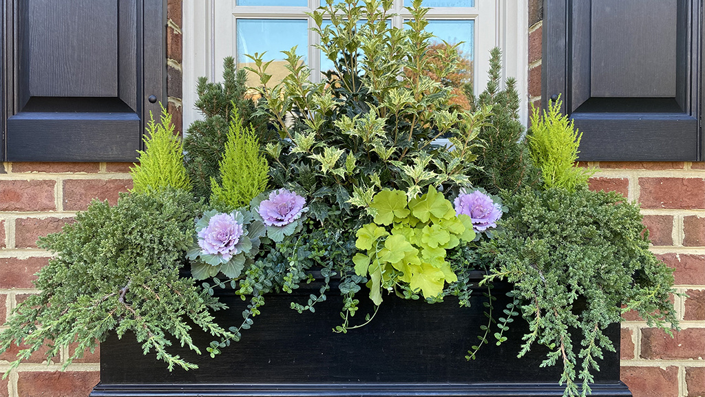 frosted window boxes winter porch