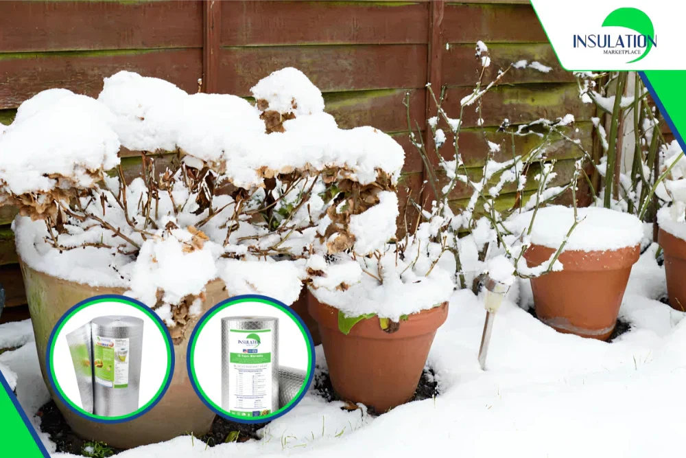 insulated potted plants with bubble wrap