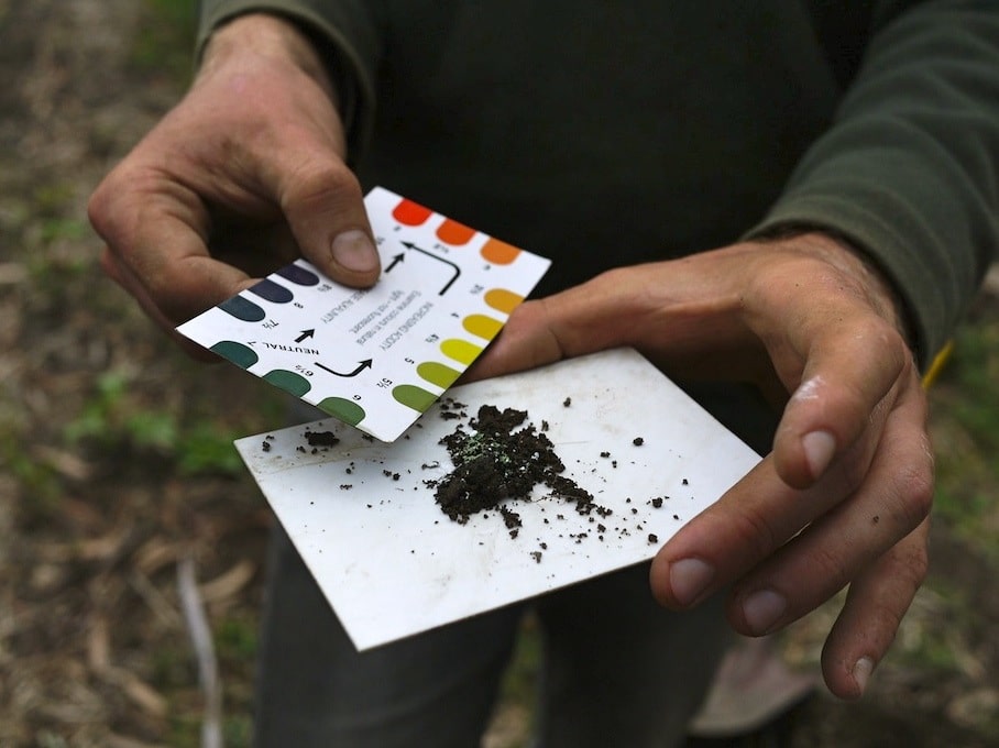 garden soil ph testing
