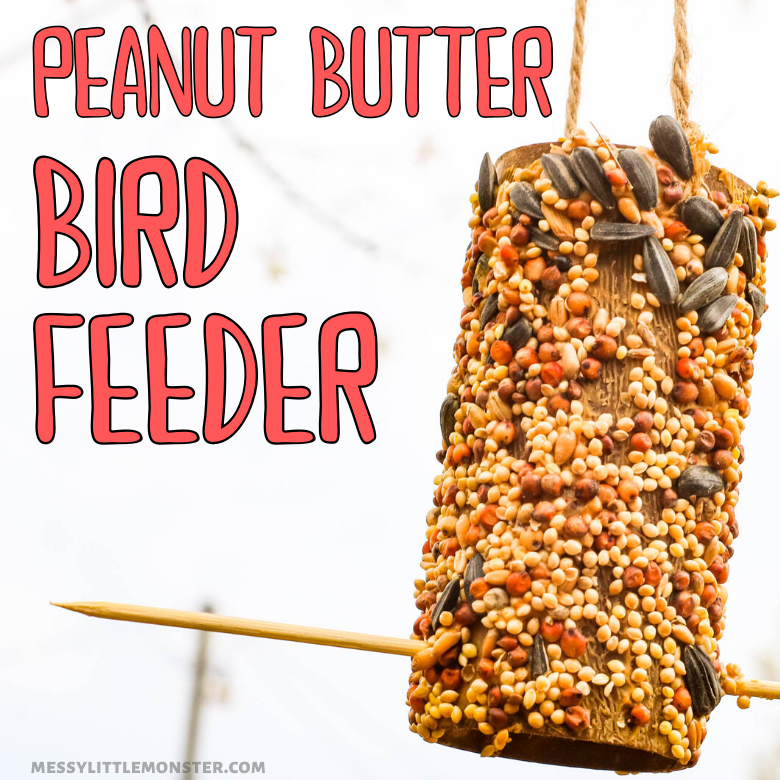 peanut butter bird feeder