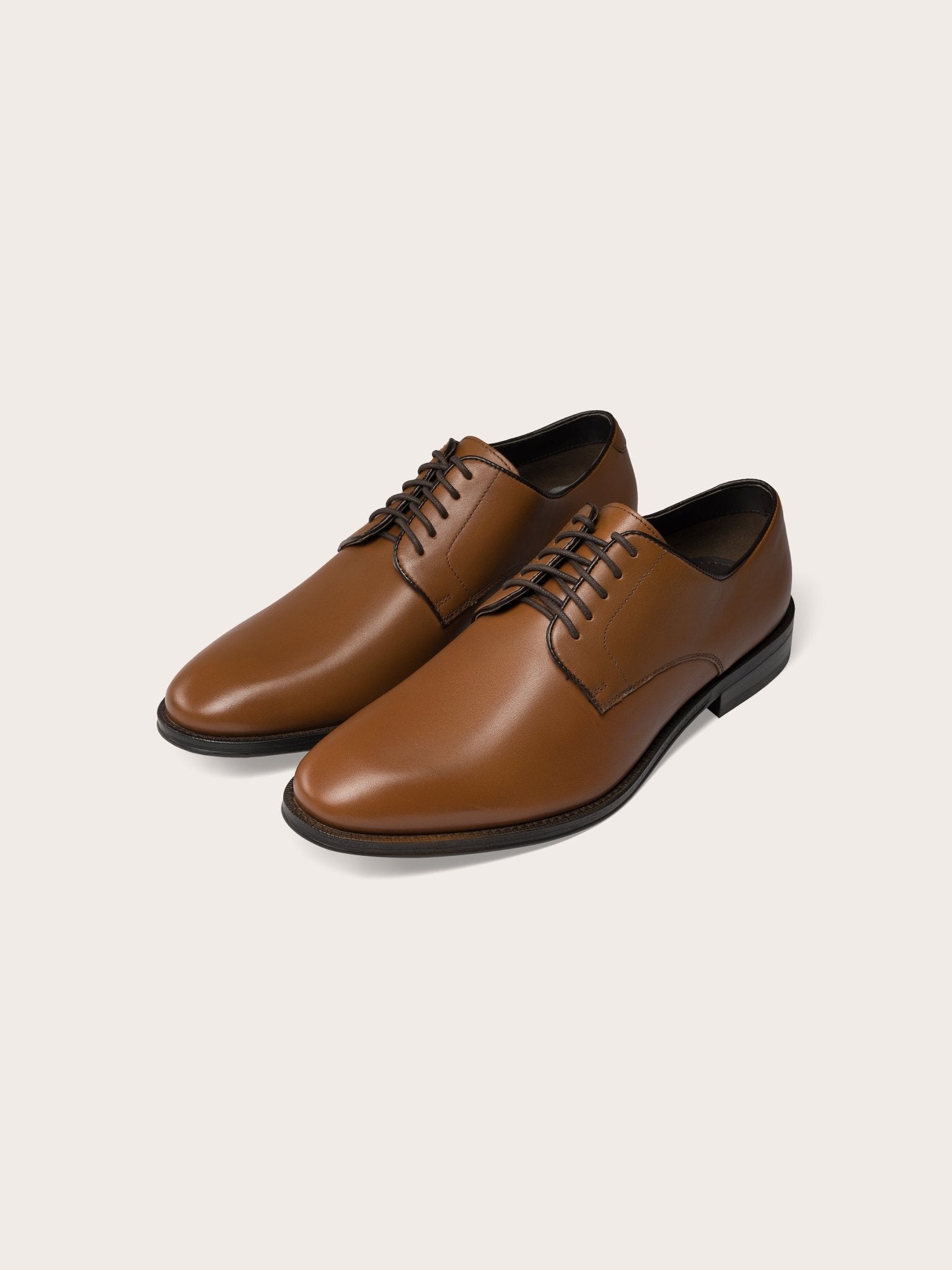 brown leather shoes