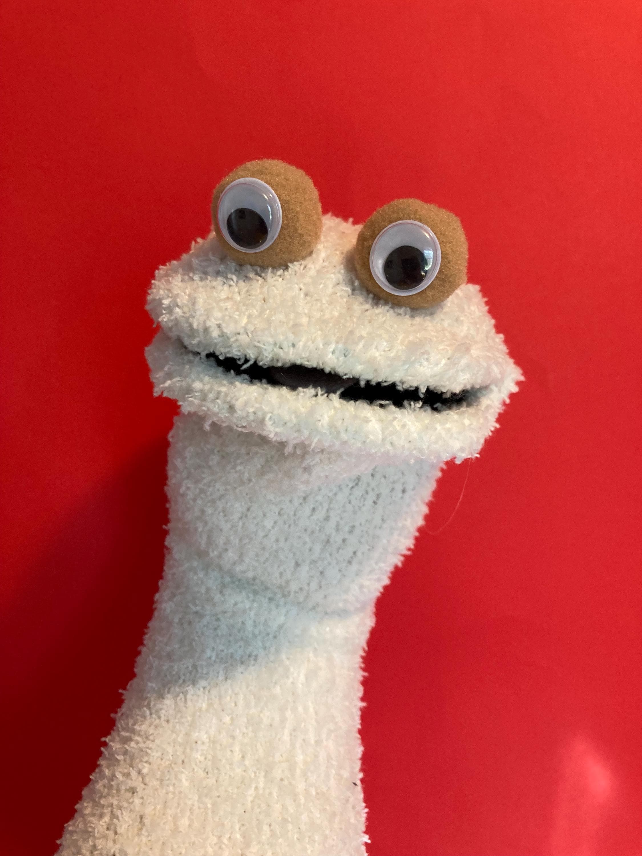 sock puppet
