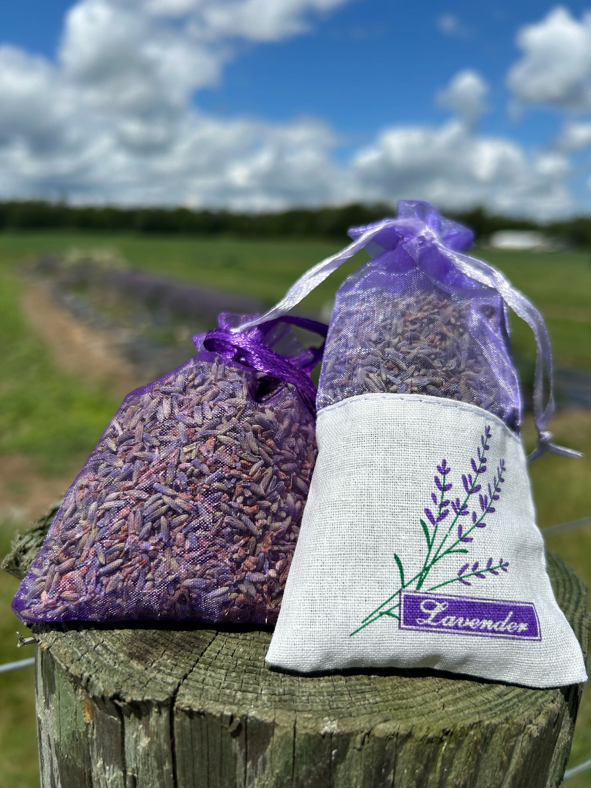lavender sachet