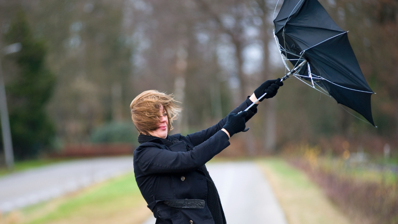 broken umbrella