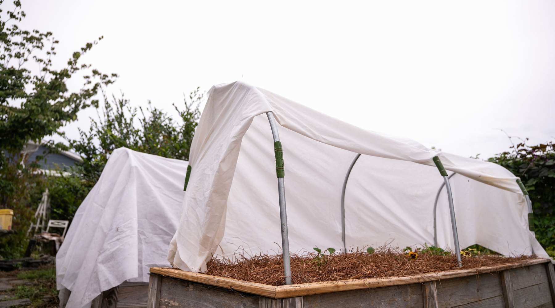 garden frost cover