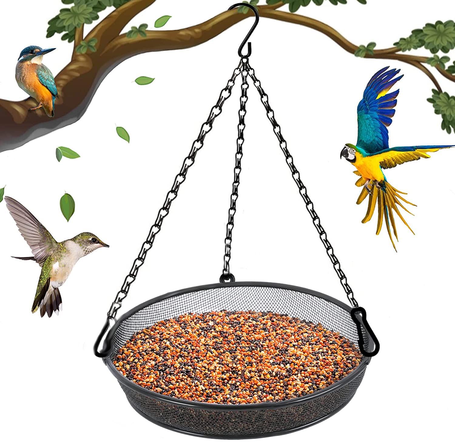 hanging bird feeder