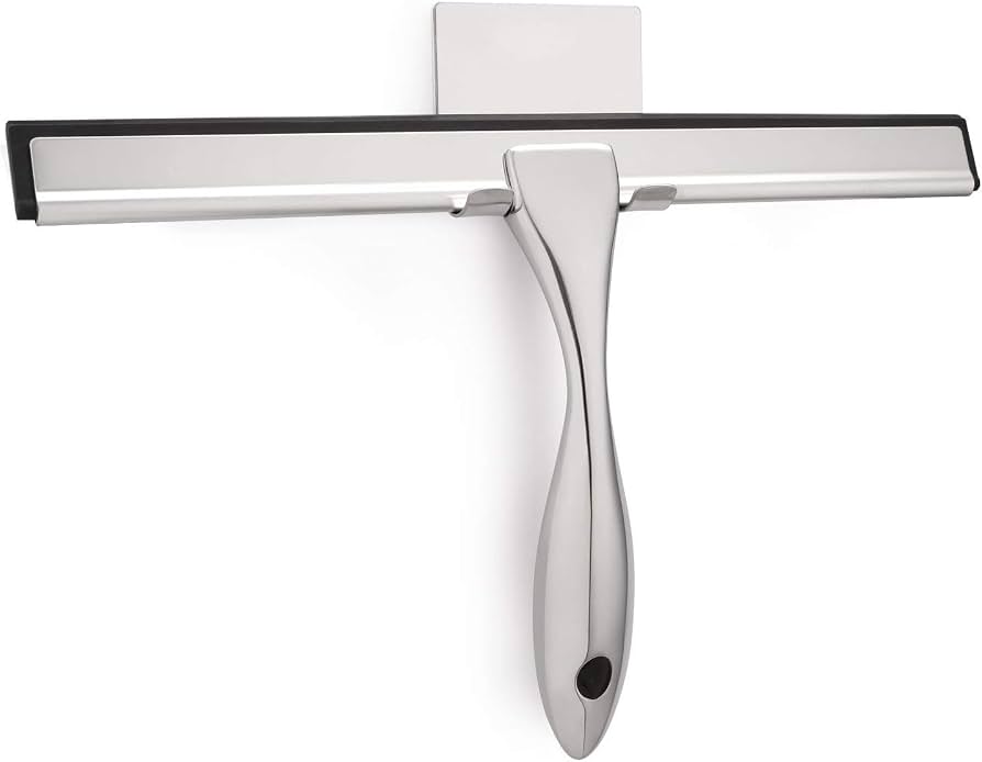 shower squeegee door