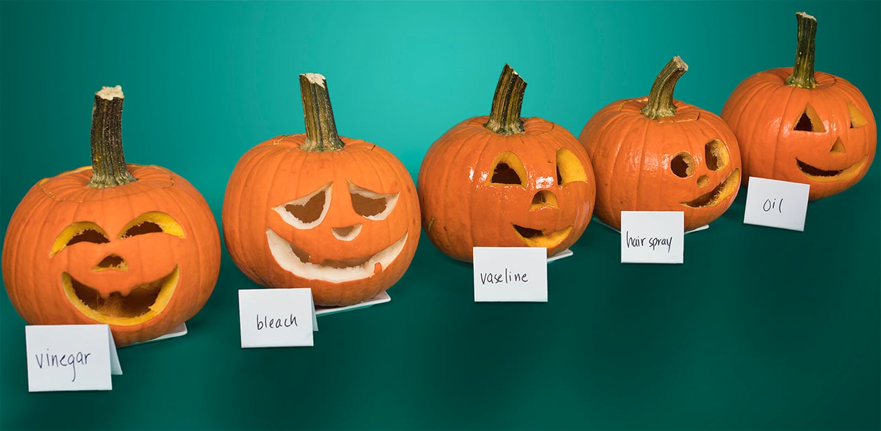 pumpkin preservation spray can