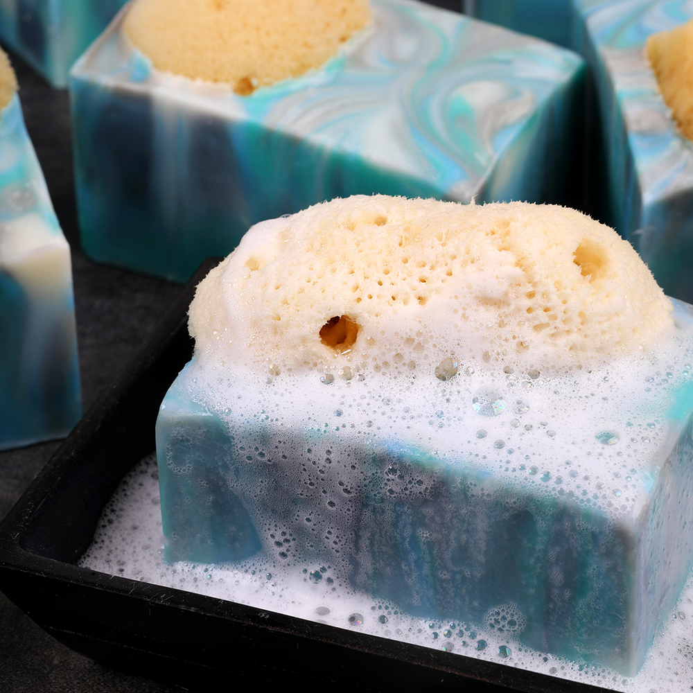 soapy sponge