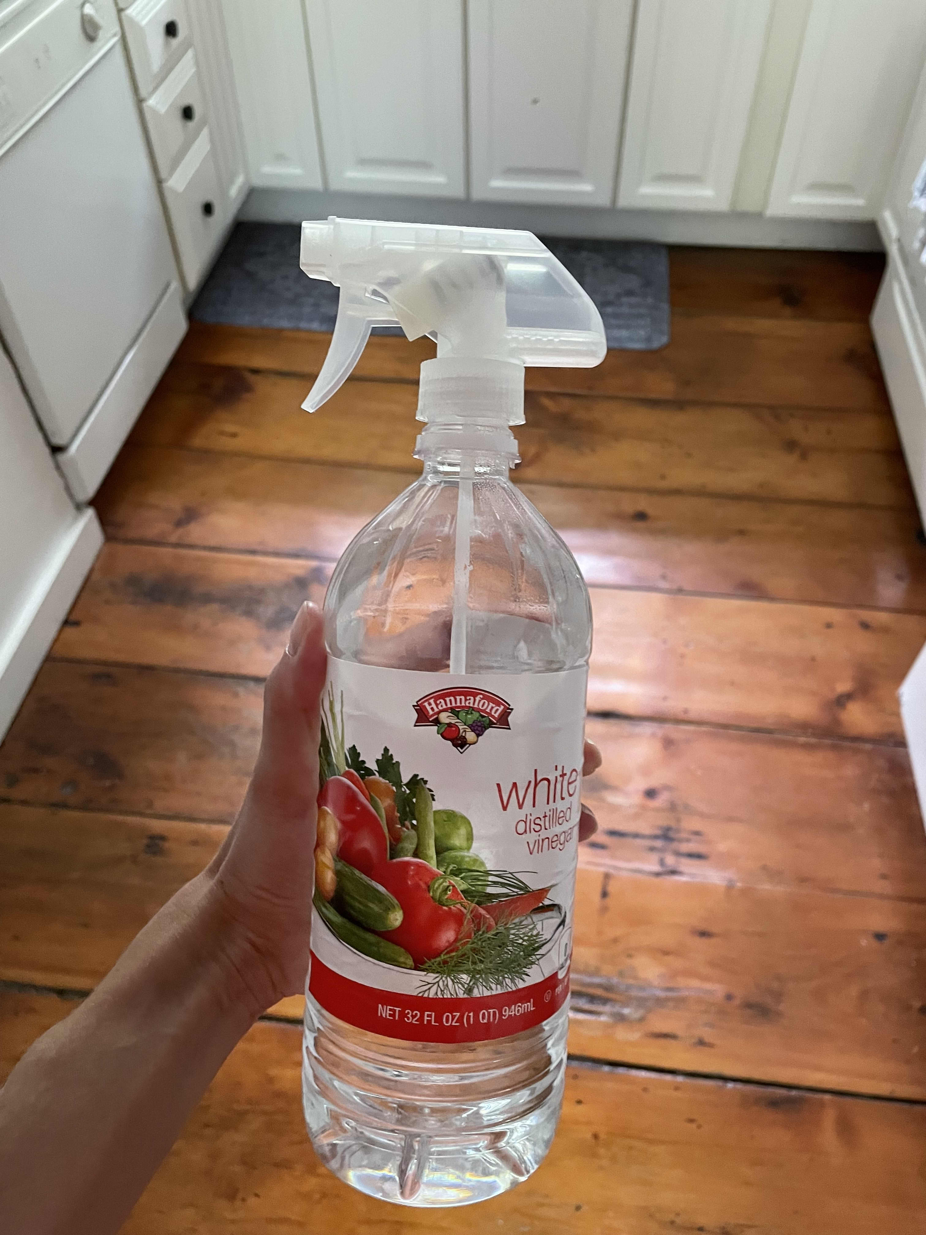 white vinegar spray bottle