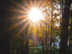 9 марта в Туле стало самым теплым с начала 2025 года и в истории метеонаблюдений