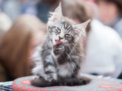 Погода в Туле 10 марта: до +13 градусов и пасмурно