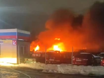 Взрыв гранаты, массовое ДТП на трассе «Дон», смертельный пожар в «Вишенке»: сводка происшествий за новогодние праздники