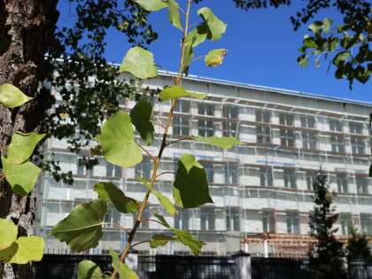 Капитальный ремонт школ в Новомосковске