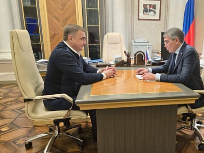 Дмитрий Миляев и Алексей Дюмин обсудили экономическую ситуацию в Тульской области