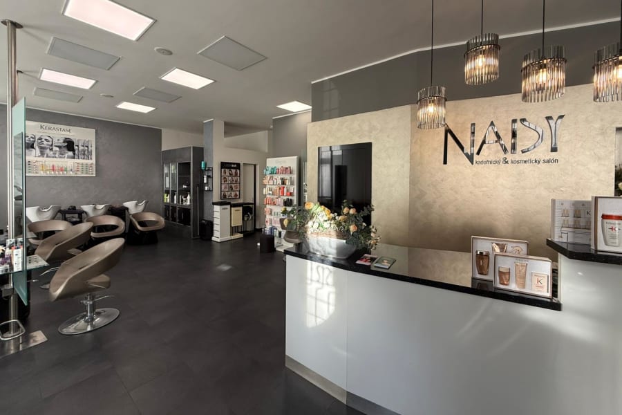 Naisy salon interiér