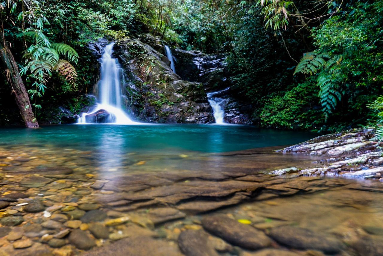 Bach Ma National Park