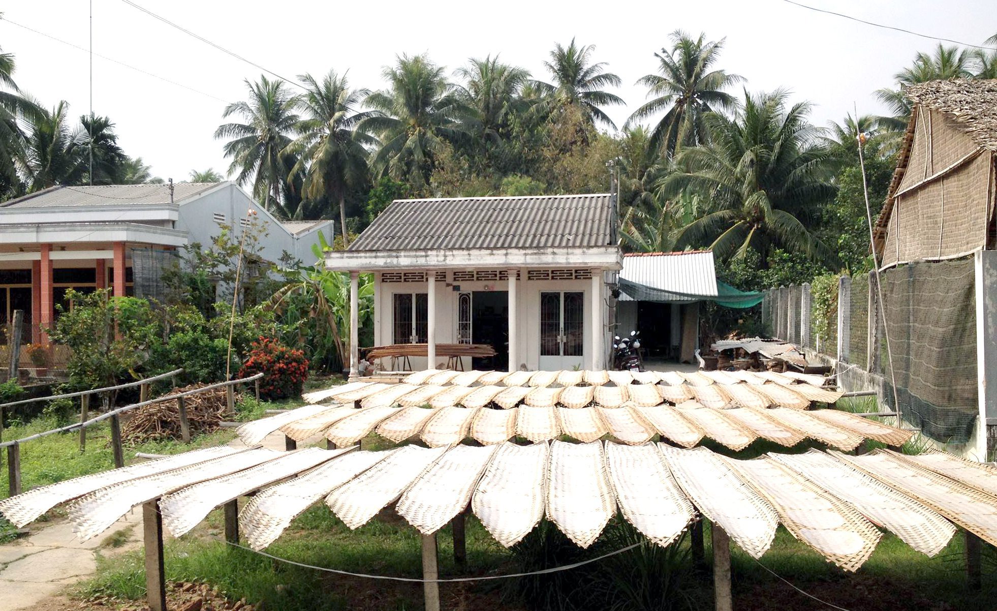 Rice cake making in Ben Tre