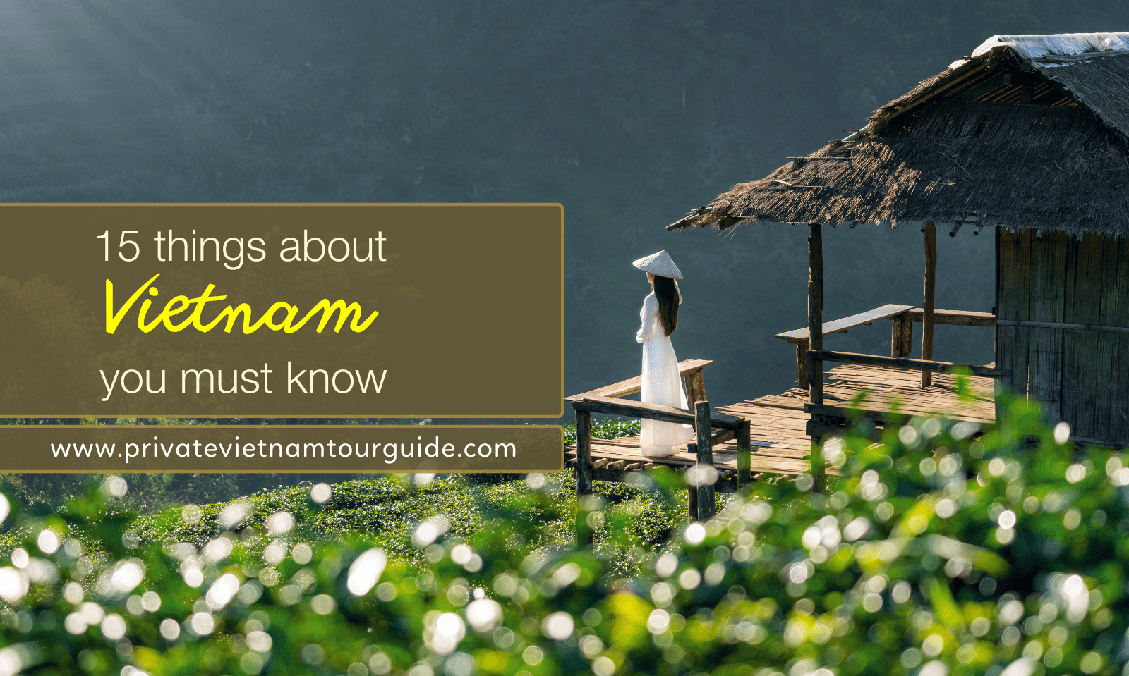 <strong>15 Things About Vietnam You Must Know</strong>
