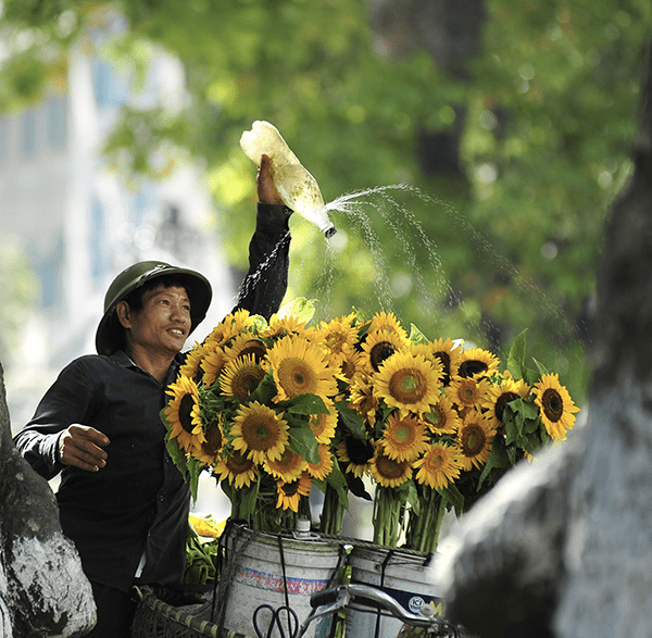 <strong>Charming Facts Of Hanoi</strong>