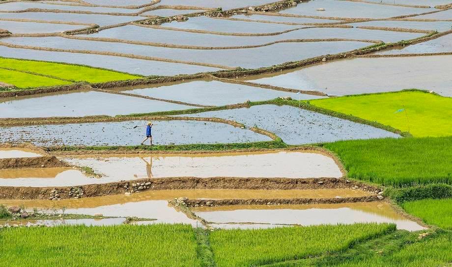 The South - Ho Chi Minh