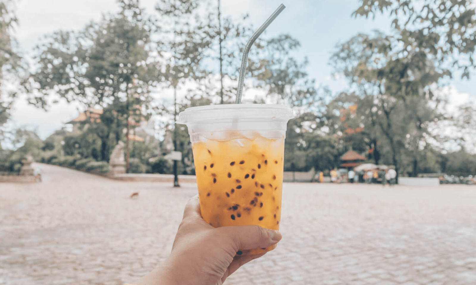 6 Must-try Vietnamese Healthy Drinks