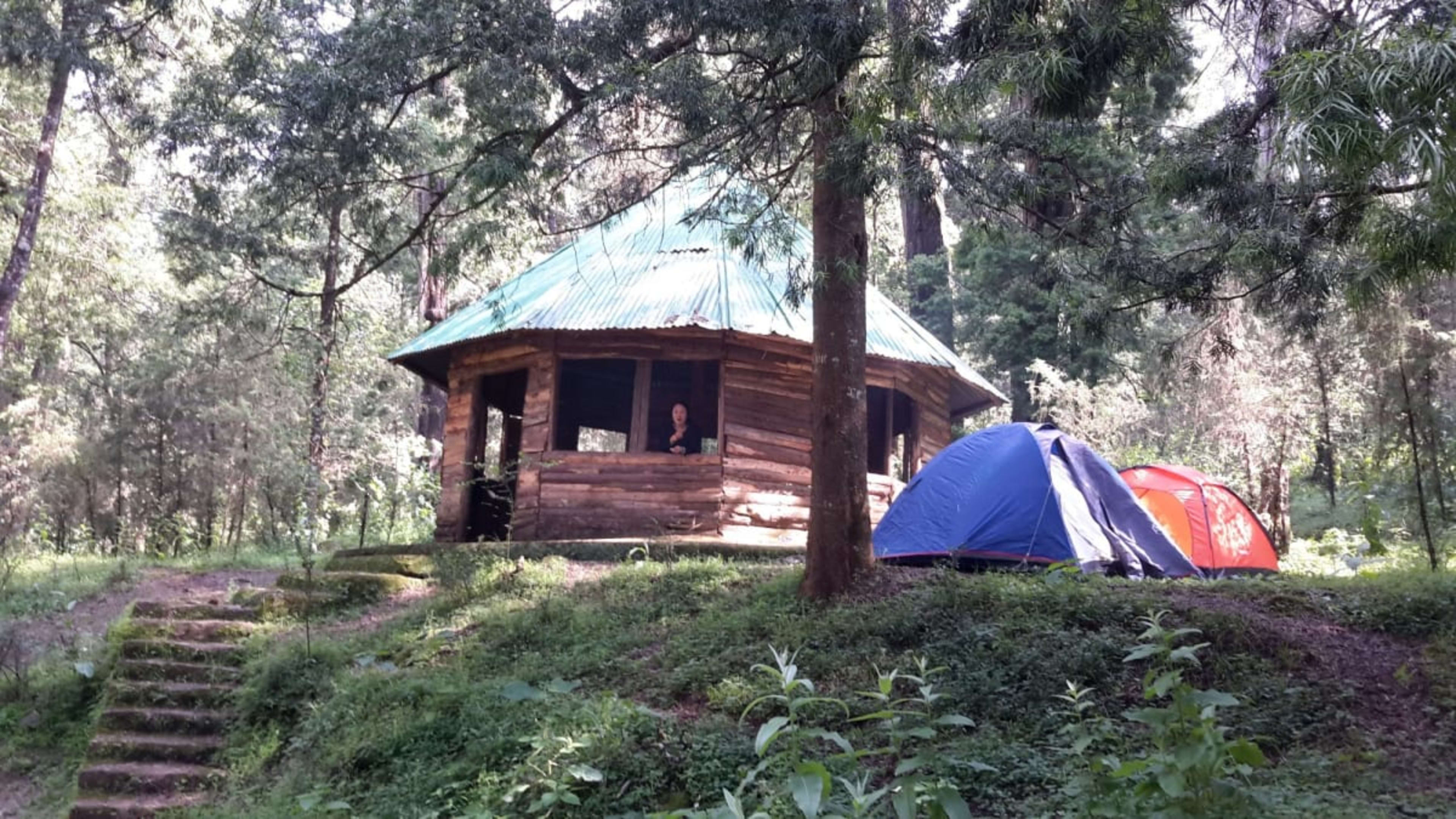 Menagesha Suba Forest — image 2