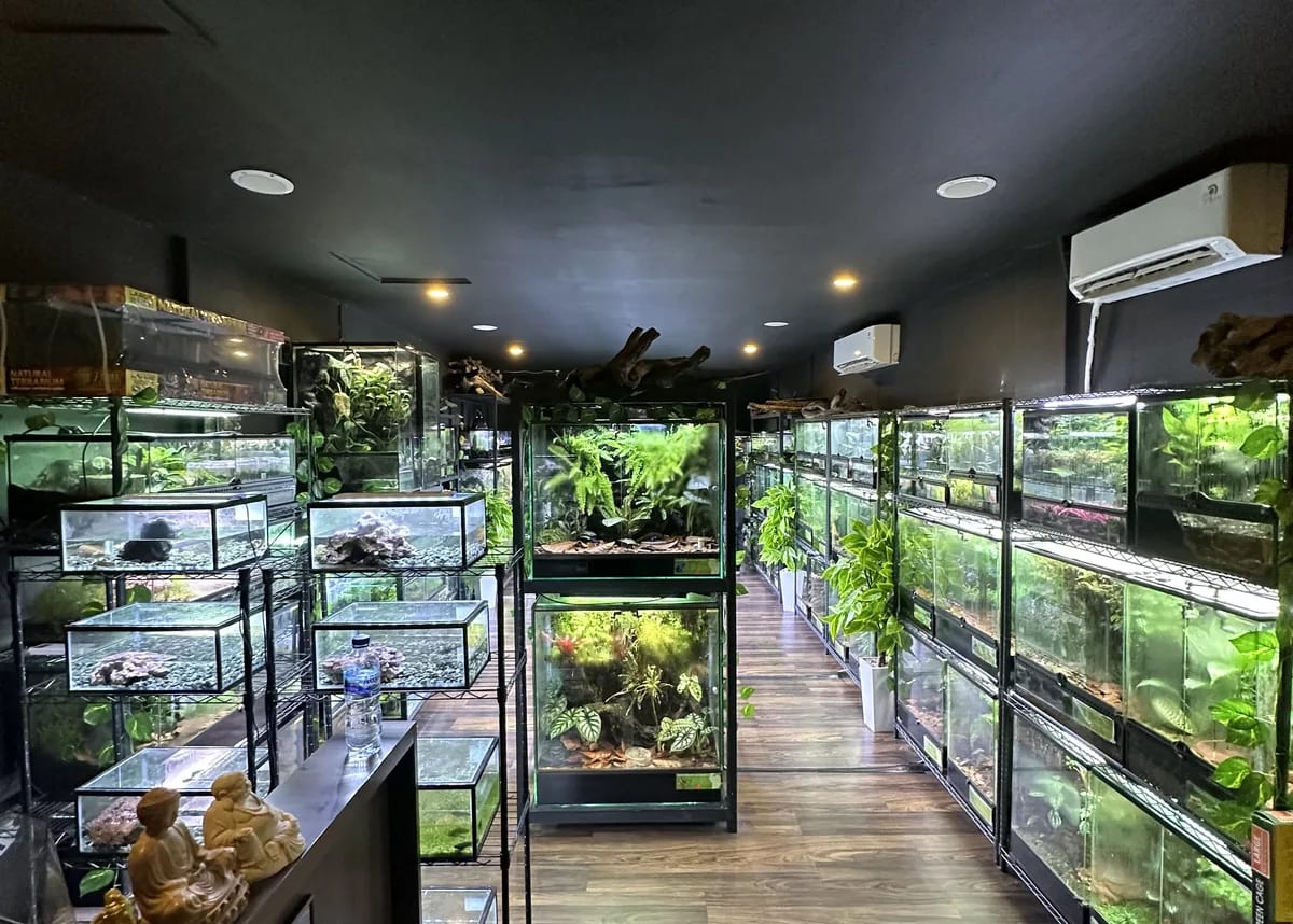 Terrarium display room at Dunia Anura